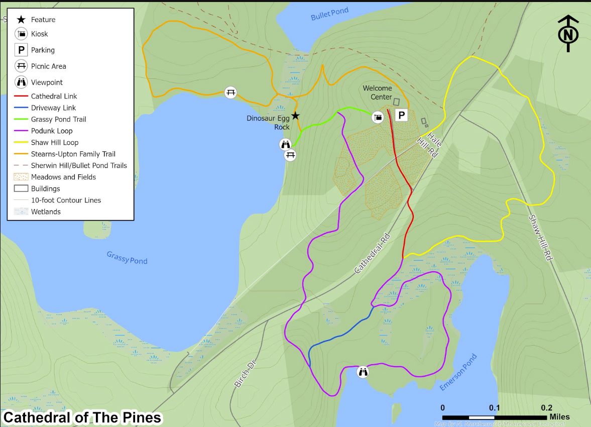 Cathedral of the Pines Trails